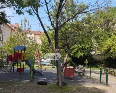 Премахнаха дървото, застрашавало  деца до площадка в Кършияка