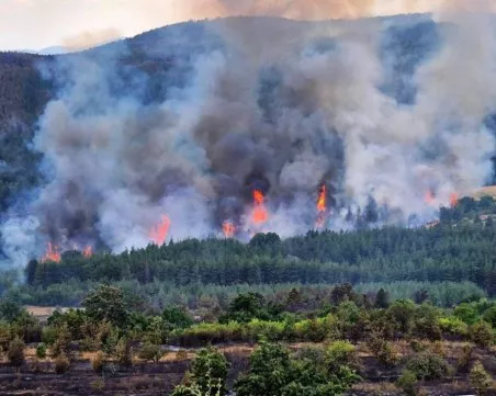 Продължава борбата с горските пожари в Сакар и Пирин