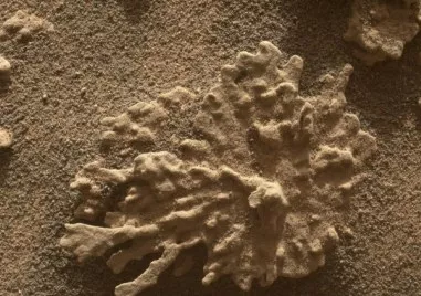 Марсоходът на NASA направи снимки, показващи, че на Марс е възможно да е имало живот