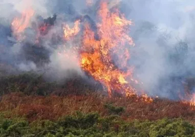 Нови два пожара се разгоряха в последните часове на 7