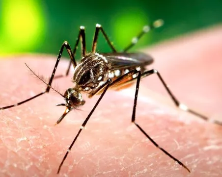 Климатичните промени носят риск от „екзотични