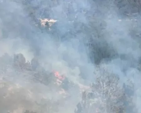 Локализираха големия пожар в Пирин след 12 дни борба на пожарникари, горски, военни и доброволци