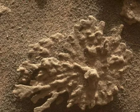 Марсоходът на NASA направи снимки, показващи, че на Марс е възможно да е имало живот