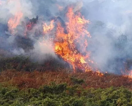 Огнеборци продължават да се борят с двата пожара в Хасковско, включи се и тежка верижна техника