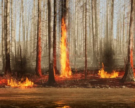 Пожар избухна край Атина, евакуират жители и туристи