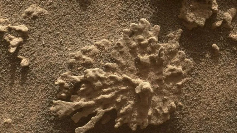 Марсоходът на NASA направи снимки, показващи, че на Марс е възможно да е имало живот