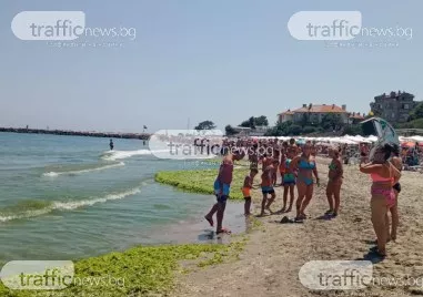 Тенденция на нарастващи случаи на салмонела и чревни инфекции по