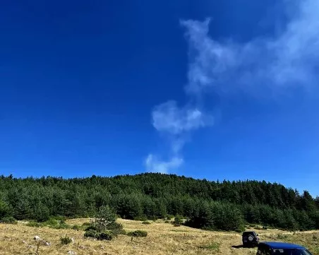 Пожар пламна в борова гора над Добростан, четири екипа огнеборци са на място