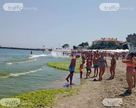 Ръст на случаите на салмонела и чревни инфекции по морето