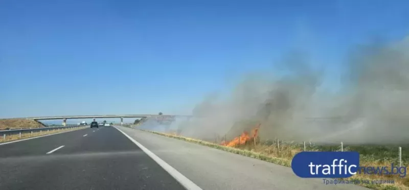 Пожарът край магистрала