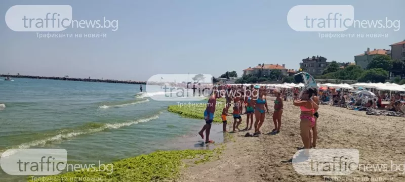 Ръст на случаите на салмонела и чревни инфекции по морето