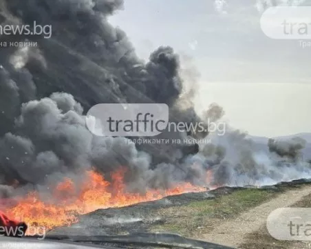 Пожарната в Пловдив предупреди за изключително висока опасност от избухване на огън