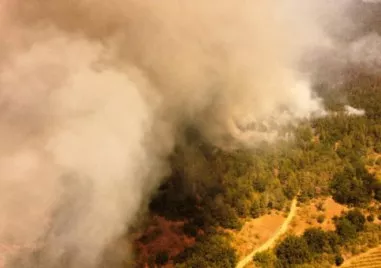 Пожарът който бушува четвърти ден в община Сунгурларе е достигнал землището