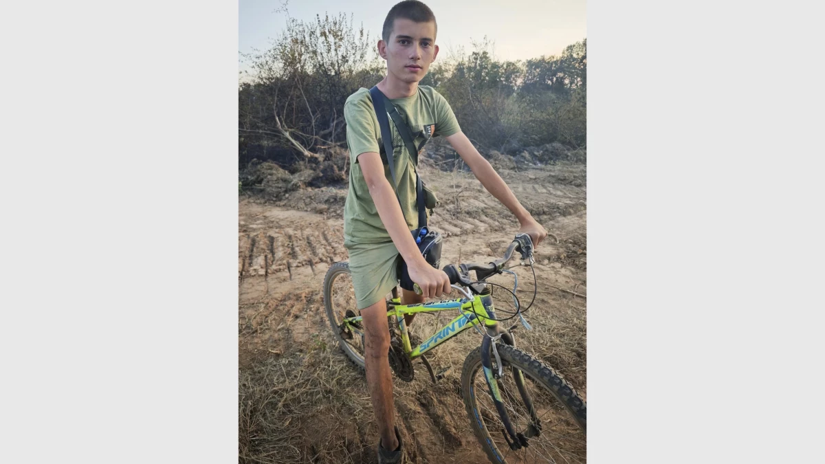 Сред тишината на изгорялата гора край Сунгурларе където черни стволове