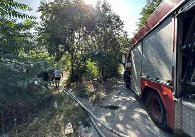 Пожарът който днес следобед обхвана района край Ботаническата градина в