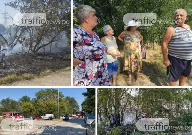 Пожарът в района на Ботаническата градина в Пловдив унищожи продукцията