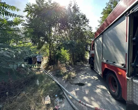 Локализираха пожара край Ботаническа градина, гасят последни огнища