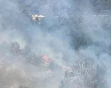 Изтеглиха огнеборци, военни, доброволци и горски от пожара в Пирин, огънят е върхов и се гаси от въздух