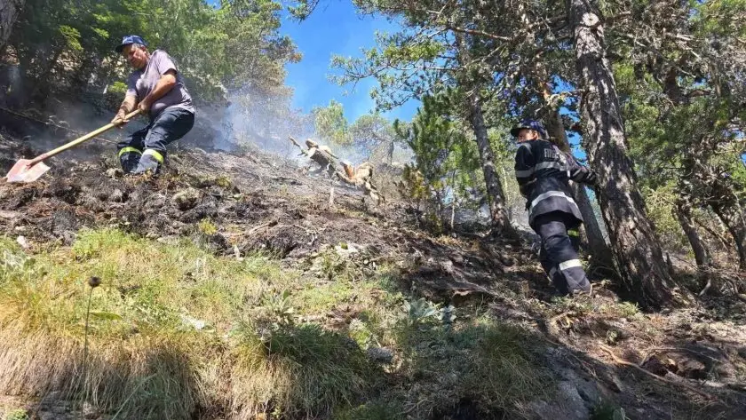 Пожарът над Илинденци навлезе в Национален парк Пирин