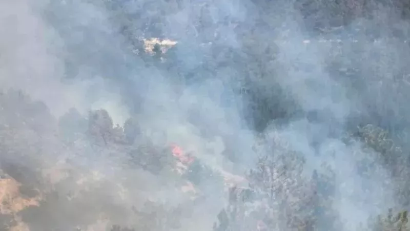 Изтеглиха огнеборци, военни, доброволци и горски от пожара в Пирин, огънят е върхов и се гаси по въздух
