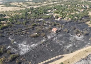 20 000 декара площ е засегнал пожара в Сунгурларе Засегнати