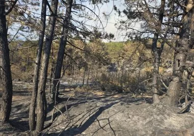 Има нужда от доброволци за пожара над село Илинденци