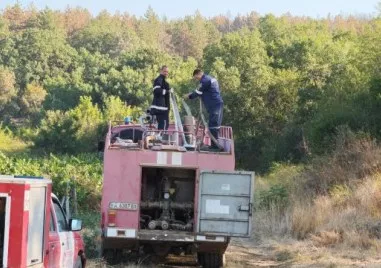 Няма действащи нови огнища в сунгурларското село Скала От този