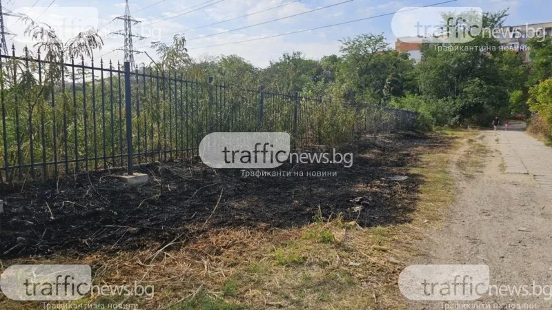 Пожарите край Ботаническата градина - умишлено причинени след палеж на кабели