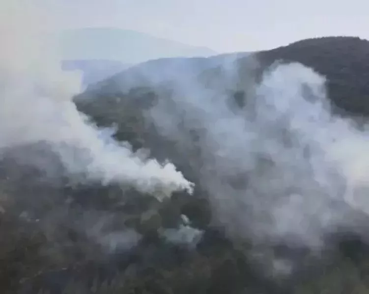 22 дни продължава битката с големия пожар в Пирин, изпепелени са десетки хиляди декари