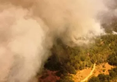Голям горски пожар избухна в събота следобед между хасковските села