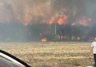 Пожарът в град Българово област Бургас е напълно загасен съобщиха