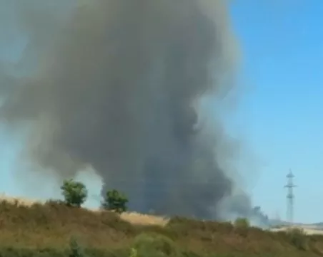 Огромен пожар се разгоря в Бургаско, евакуират незабавно населено място
