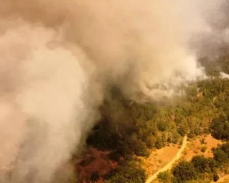 Пожар изпепели 500 декара гора в Хасковско, локализирането му е трудно