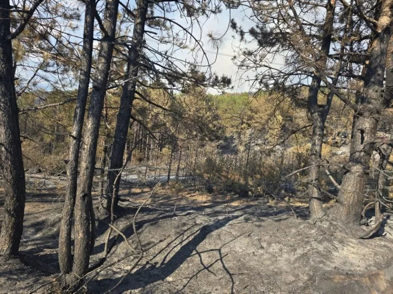 Ново огнище се разгоря над село Илинденци в Пирин