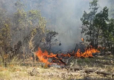 Единственият пожар който все още е действащ е този в Струмяни