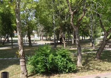 Мечка е била забелязана в парк намиращ се в близост