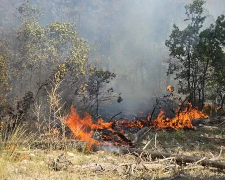 Eдинственият действащ голям пожар в страната е в Струмяни в Пирин