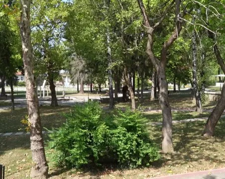 Мъж срещна мечка в близост до Троян