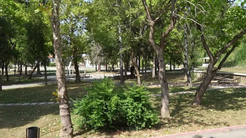 Мъж срещна мечка в близост до Троян