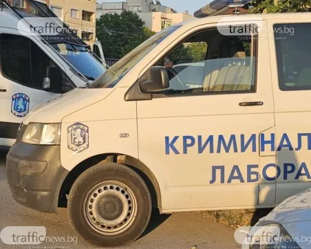 Шефът на убитата Димитрина от Първомай: Няма как да е самоубийство