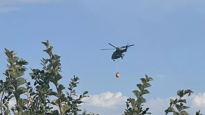 Пожарът край Стара Загора е напълно овладян