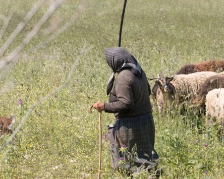 Издирват възрастна жена, изчезнала в Средна гора