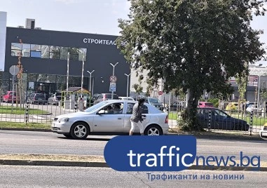 Просякиня тероризира шофьори на Цариградско шосе, хвърля се пред колите за някоя стотинка