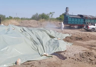 След сигнал за разлагащи се трупове: Кметът поиска да спрат изгарянето на болни животни в Пловдив