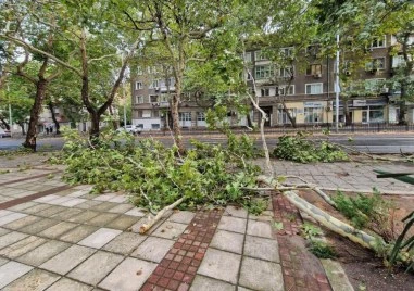 След силната буря на места в страната: Паднали дървета, градушки и стотици без ток