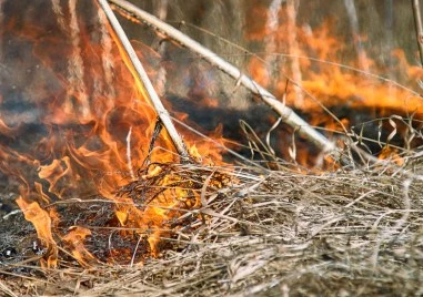 Локализираха пожара в Рупите