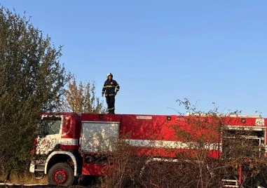 Пожар гори между Стралджа и Петолъчката