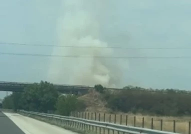 Пламъците са обхванали сухи треви и храсти Получило се е