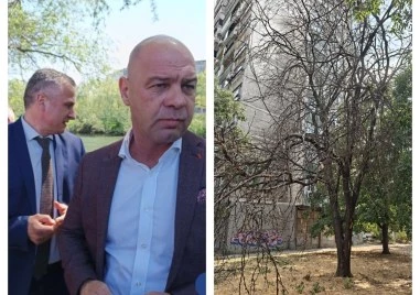 Умиращата зелена система на Пловдив започна да убива, а кметът не е просто съучастник