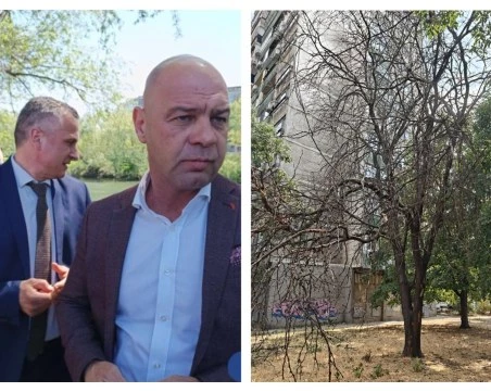 Умиращата зелена система на Пловдив започна да убива, а кметът не е просто съучастник
